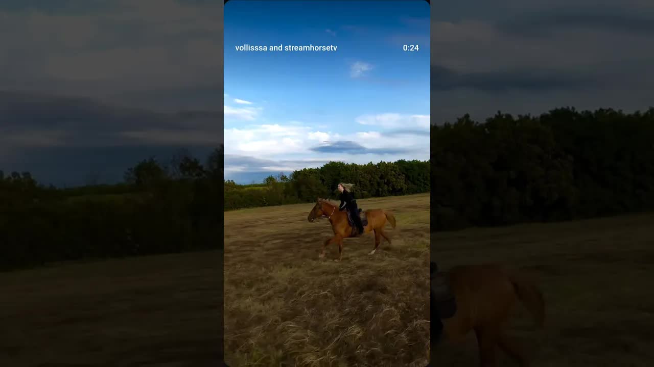 these beautiful things that I've got