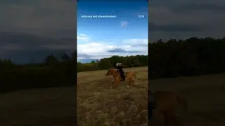 these beautiful things that I've got