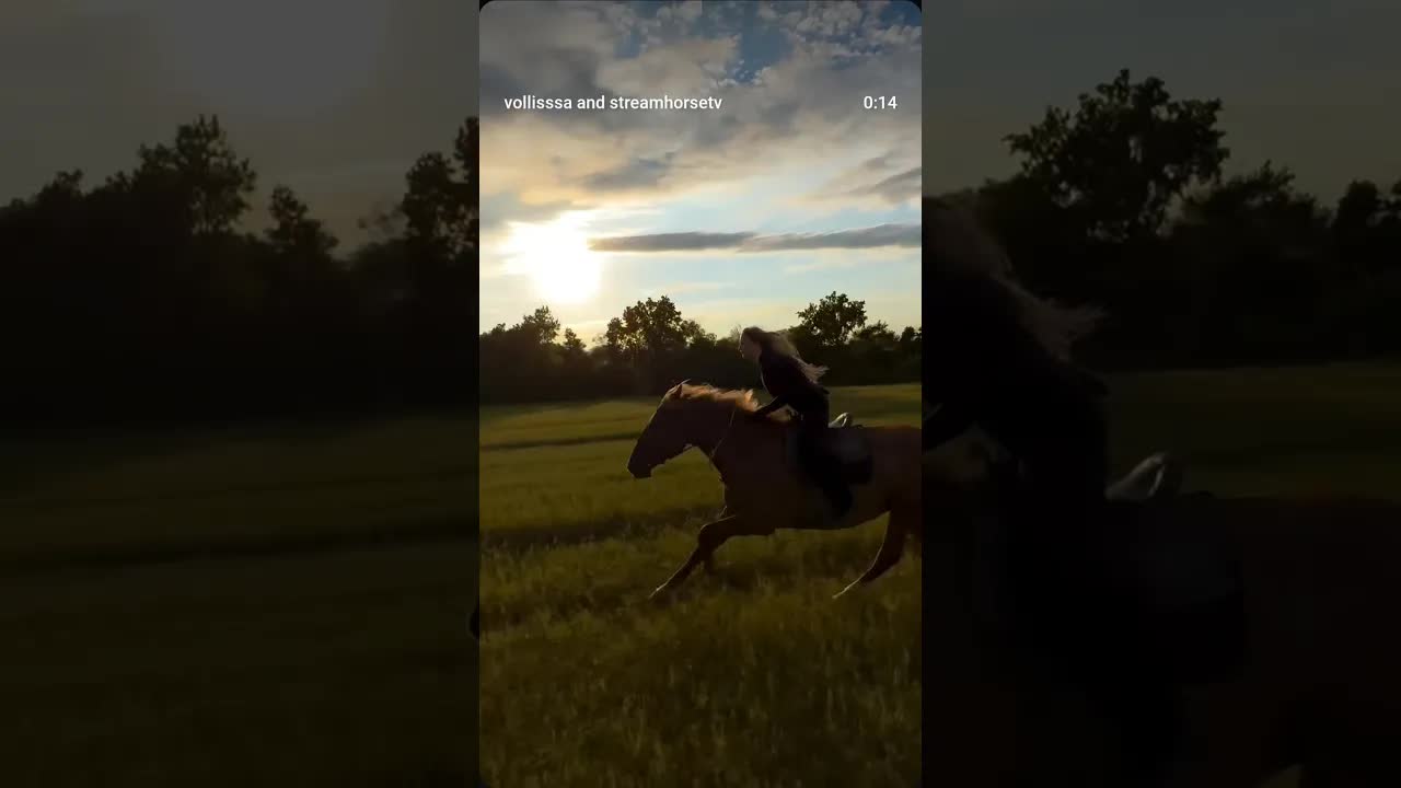 Who, if not me, will go to the fields on an untrained horse?