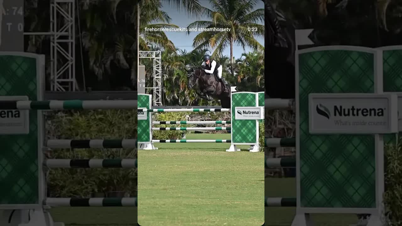 Wonderful Ouija 🐎🔮🖤 jumping in the 7-Year-olds at Wellington International 🌴