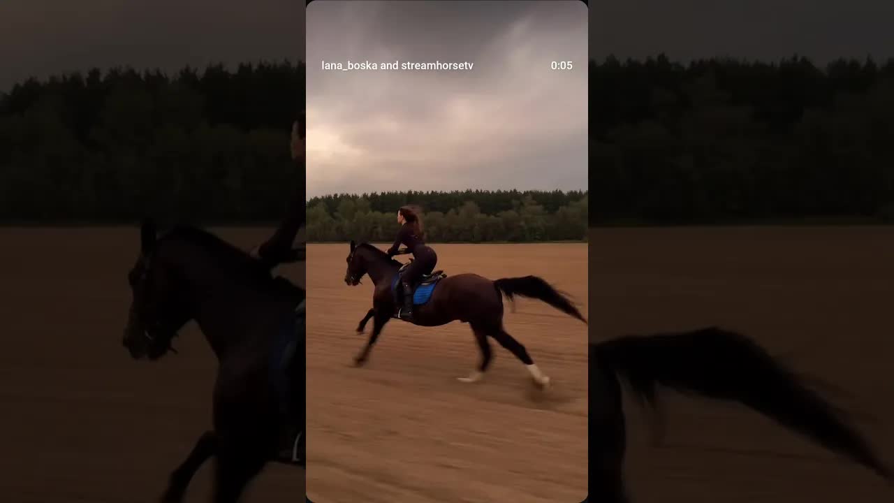 poetry in motion 🐎