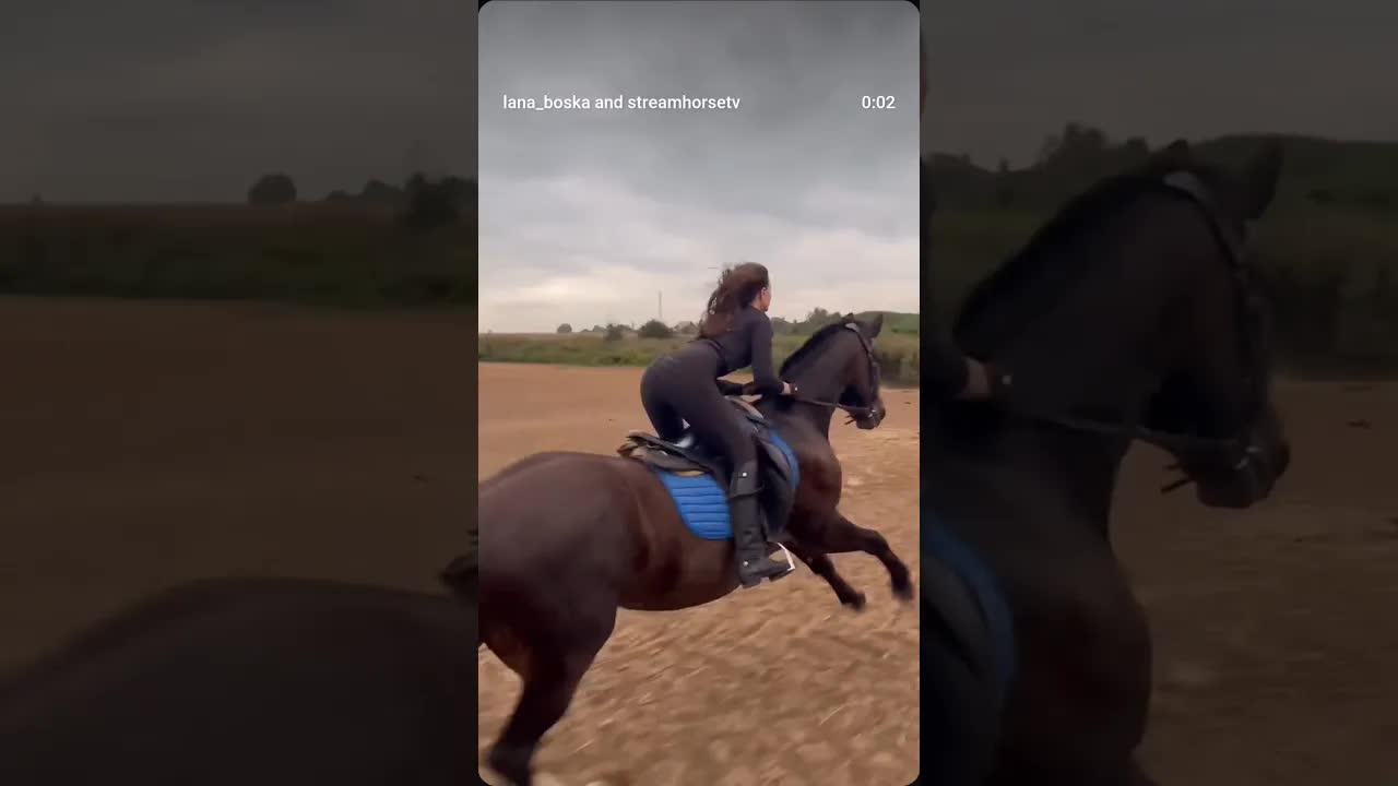 feel the speed and power 🐎