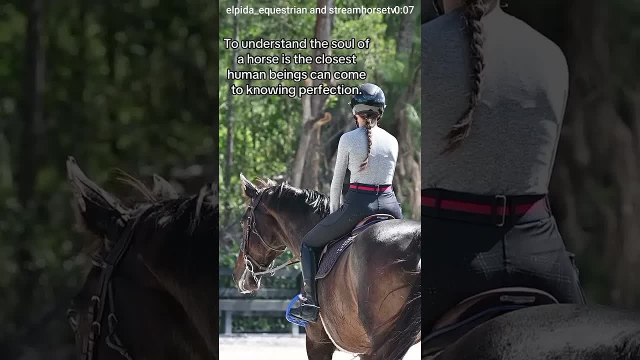 They’re truly magical ✨🐎💖💙