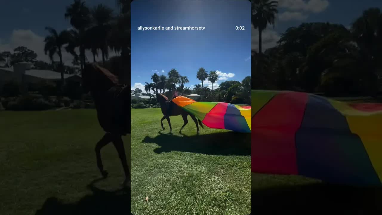 Monkey, the 4-year-old OTTB, never ceases to amaze. He lets me get creative with training 🐎✨