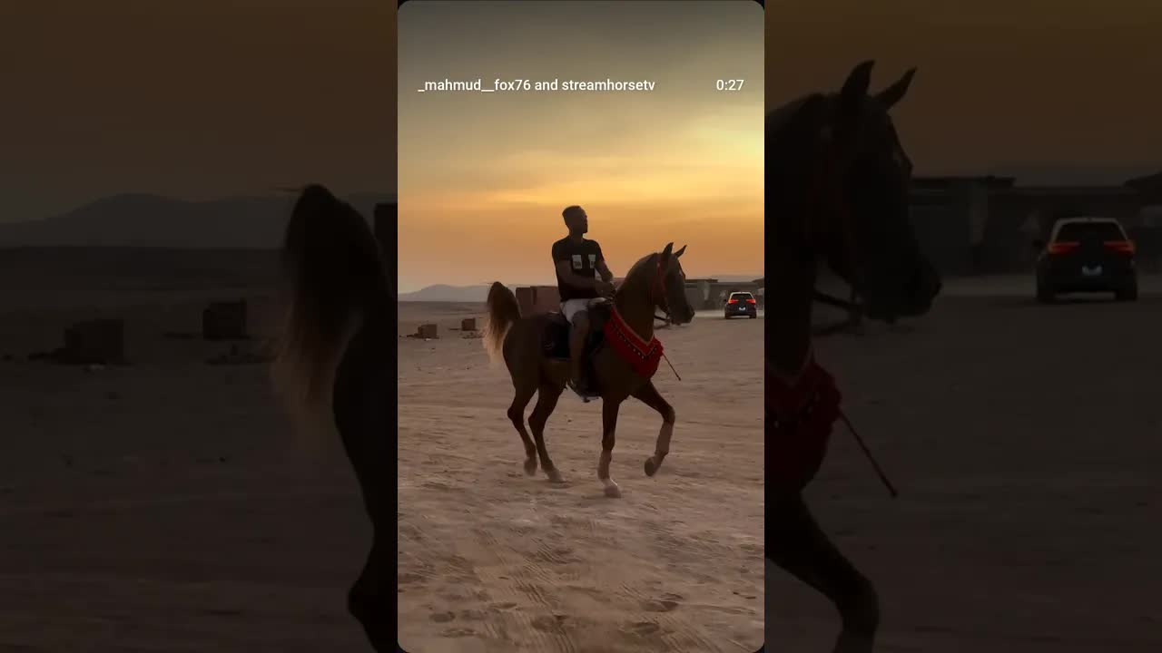 📸🐎 Magical moments with my horse as he dances to the rhythm of beauty and freedom 💃✨