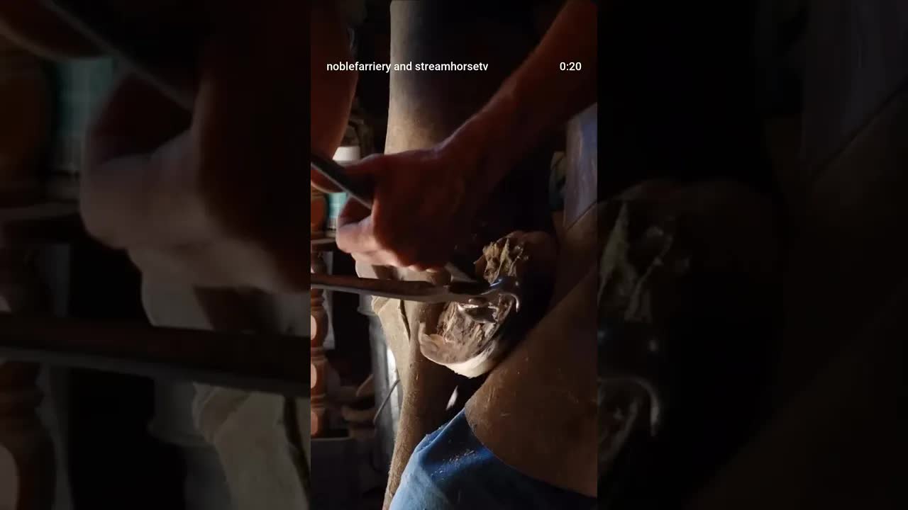 Strong hands. Strong minds. Strong team.