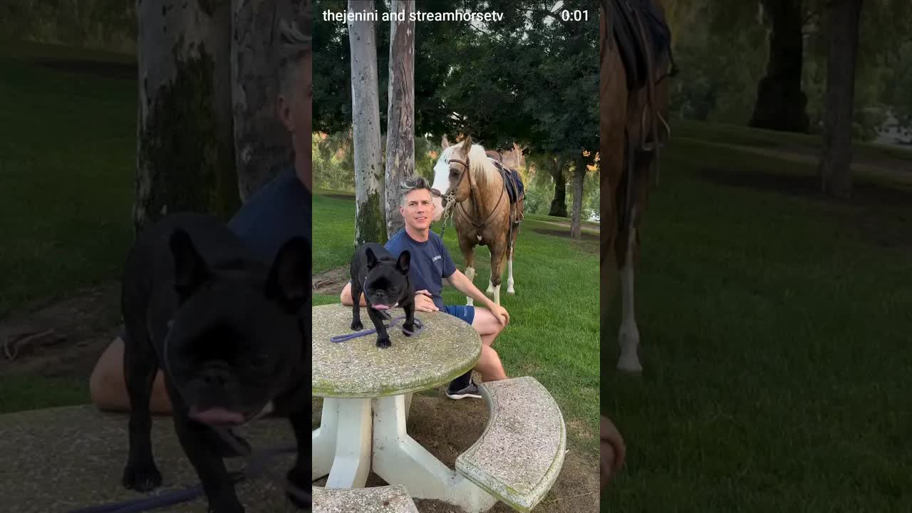 dog father but make it daddy…