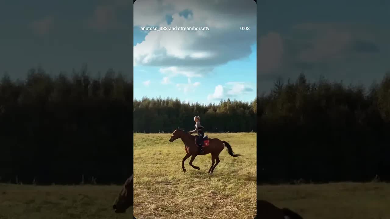 come for a ride 🐎