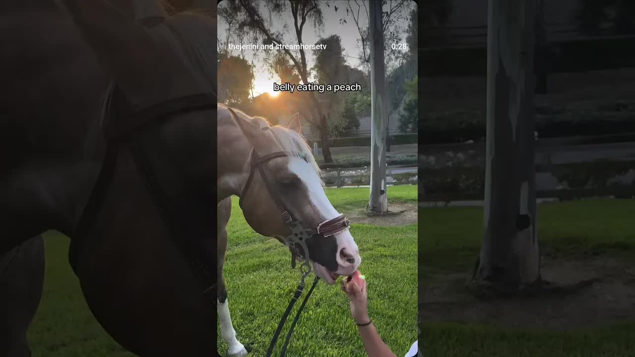 are we still not over this scene or am I just late 🤣