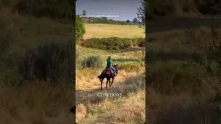 Cowboys. Because no woman has ever dreamed about being swept off her feet by an accountan. 🤠🐴