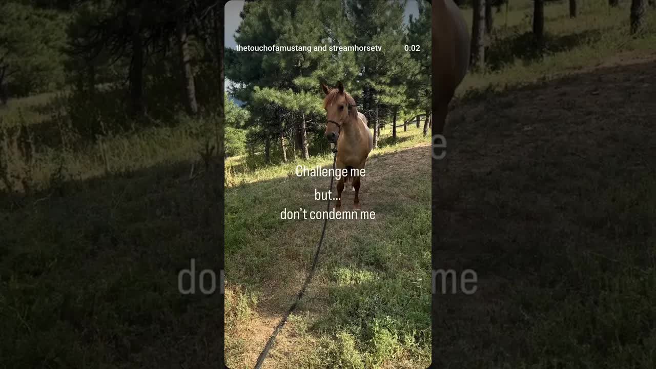 It is a careful line that must be walked to success...