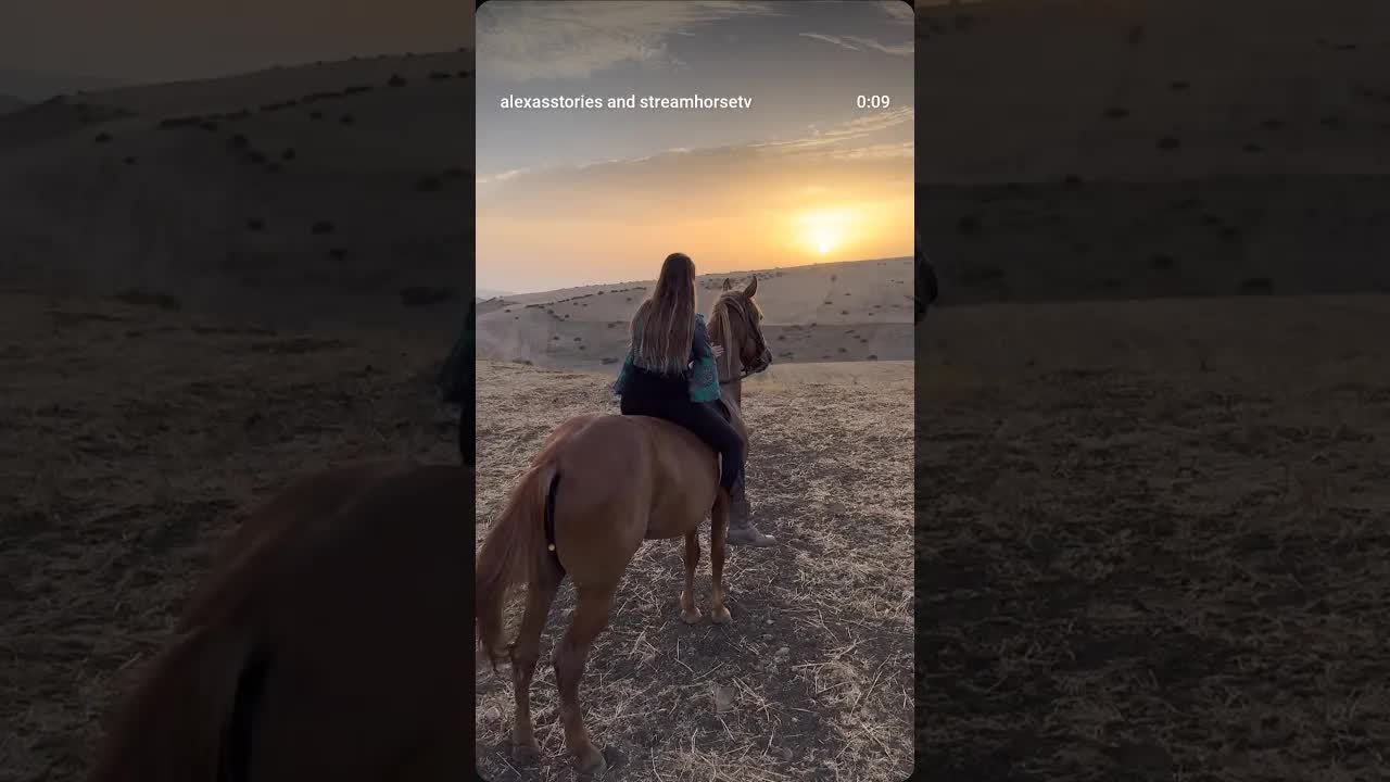 Best time spent is with horses 🐎🫶