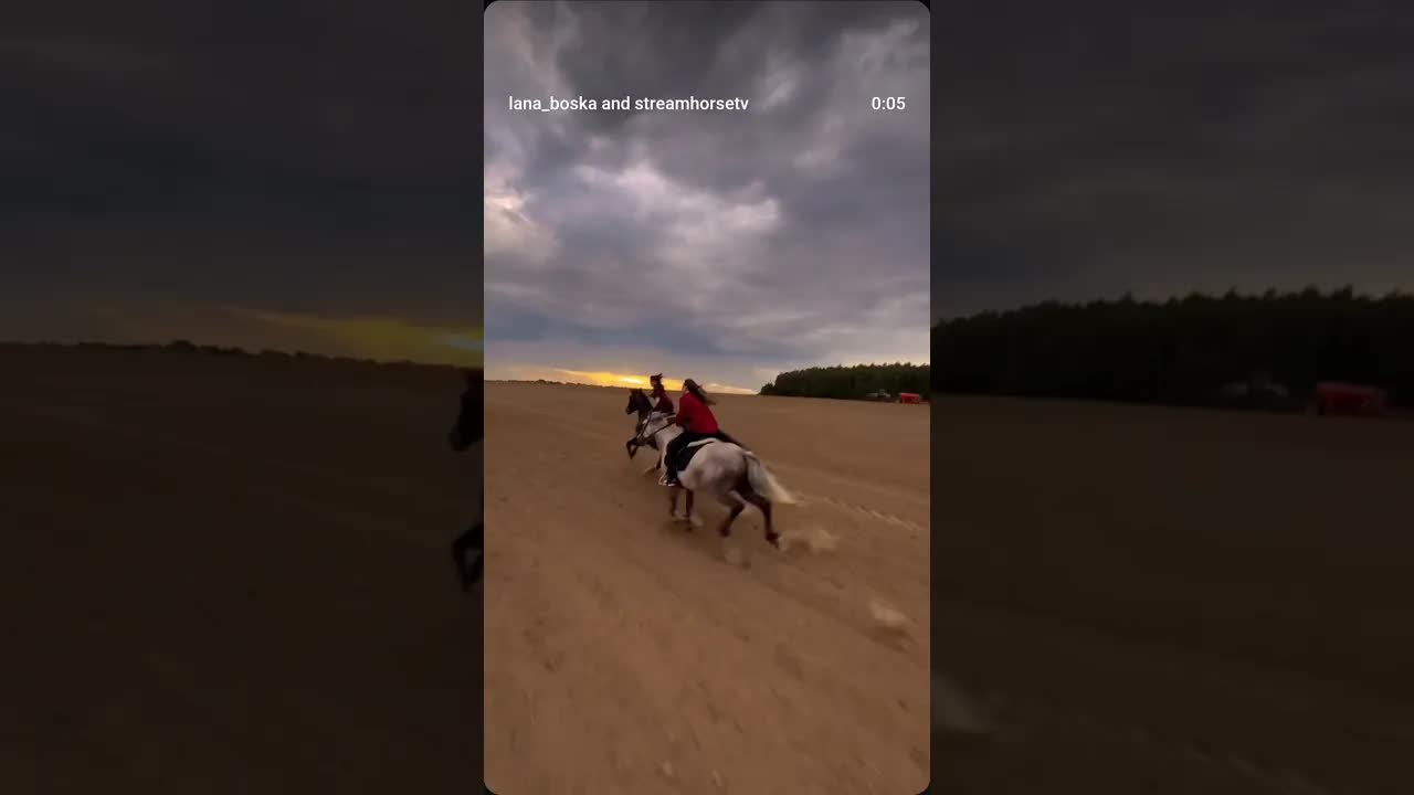 went into the sunset 🌅 🦅💨