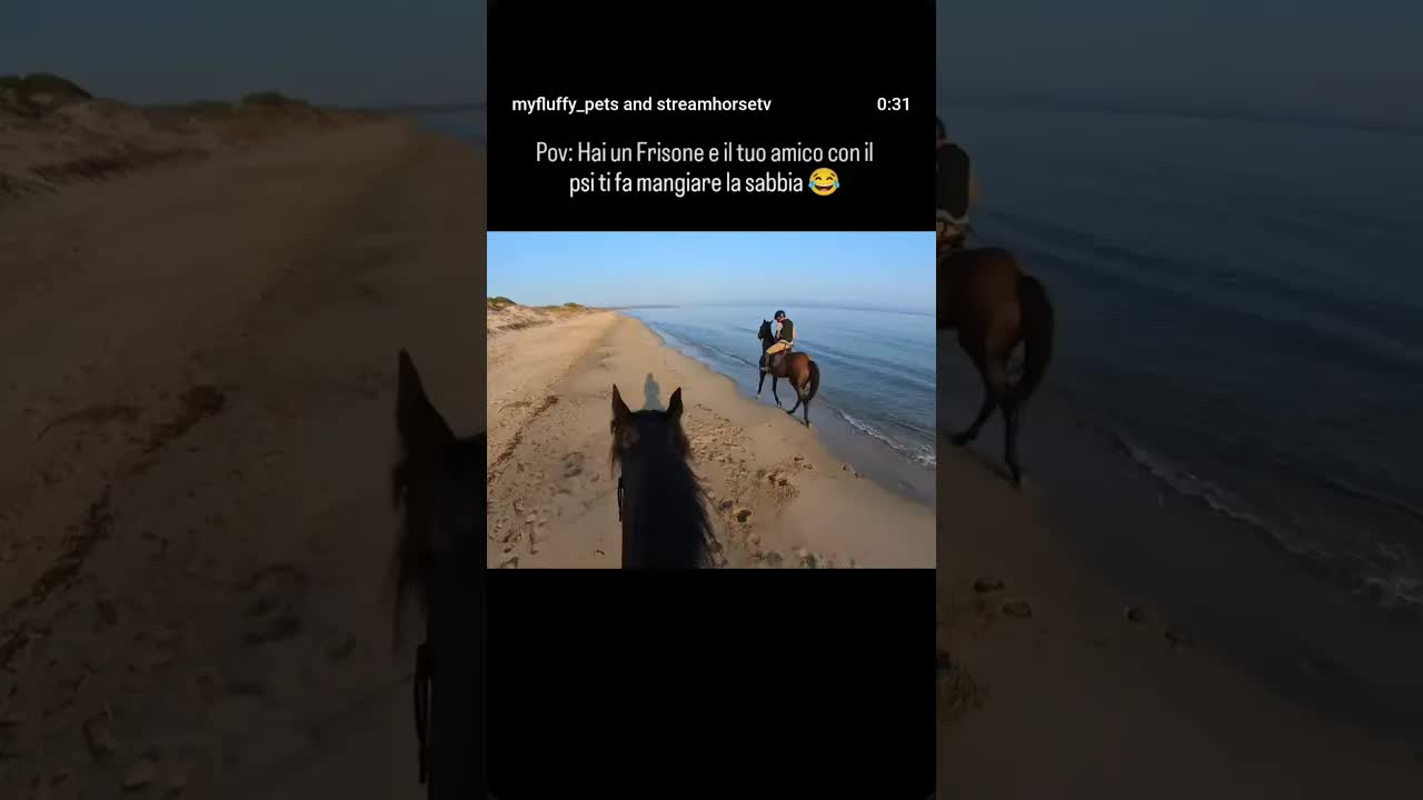 Perennemente ultima 😂