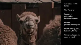 AV Geeks 16mm Lunch 8-21-2025