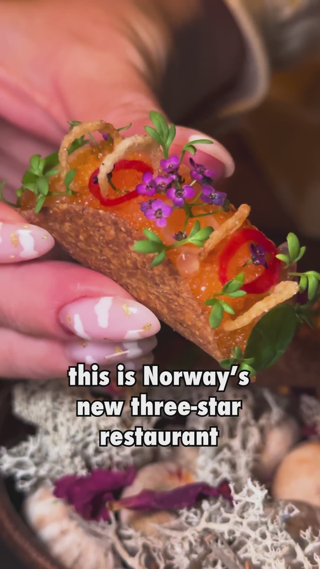 Hva et måltid ser ut som på tre Michelin-Sjerne Restauranten Re-naa i Stavanger – slik opplevde vi det