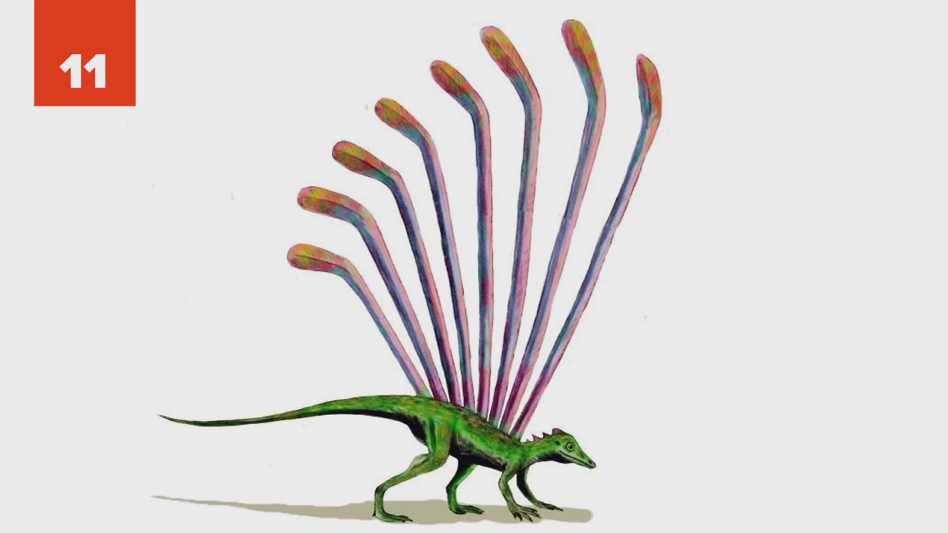 25 ancient creatures that might not have actually been that scary