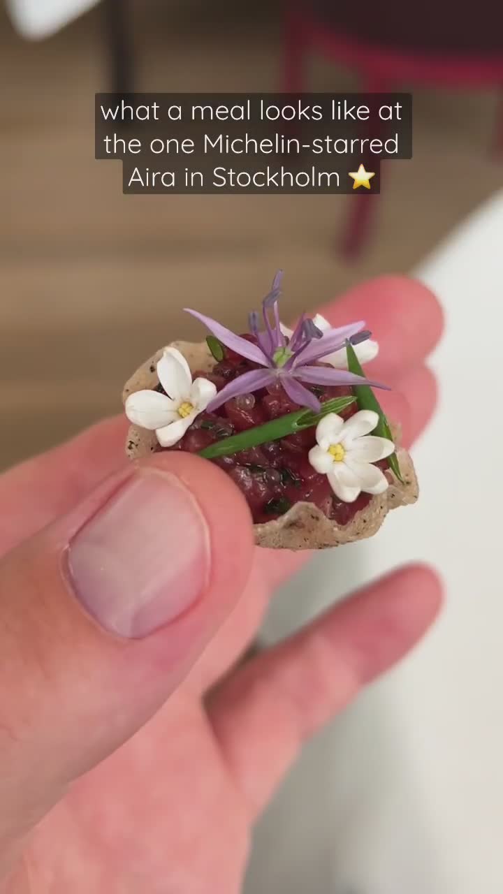 Aira | Hvordan et måltid ser ut på den ene Michelin-stjerne fine dining restauranten i Stockholm | slik opplevde vi det