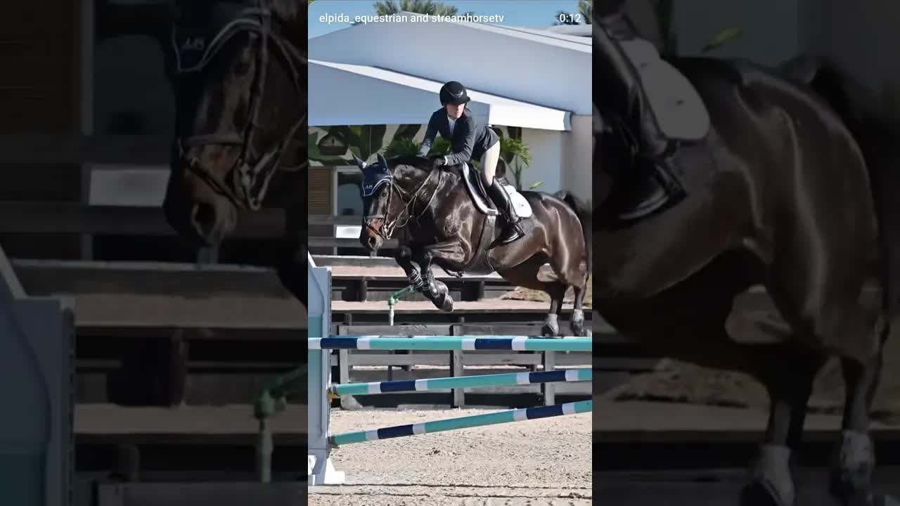 Smooth and productive rounds for PicoBella & Athena in the 1.20M Jumpers 🌶️🐎🖤