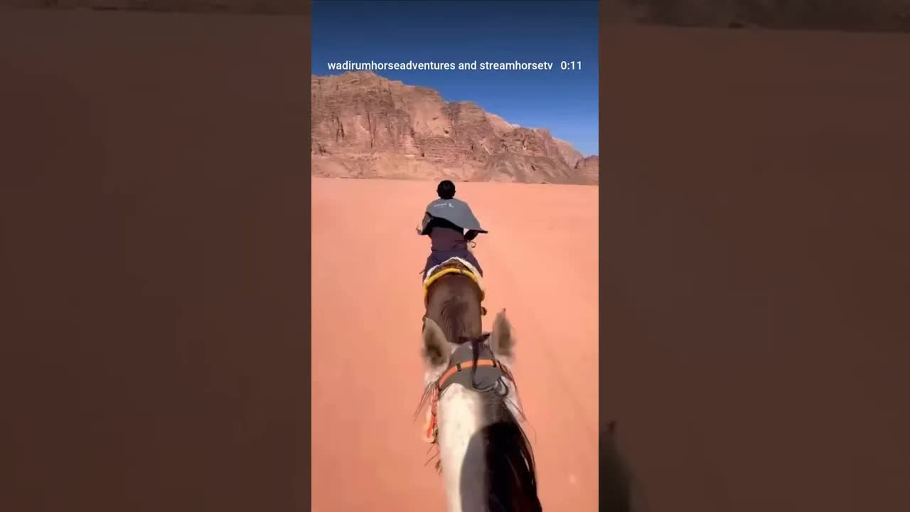 11 seconds of pure freedom. Liza came for a 3-hour ride… and flew through the Wadi Rum desert
