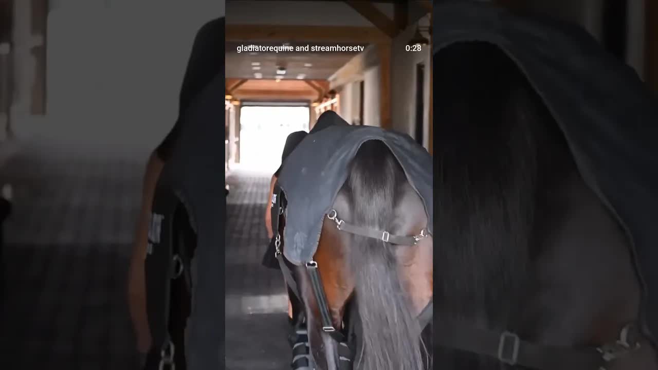 Your horse’s hind end is their powerhouse! 💪