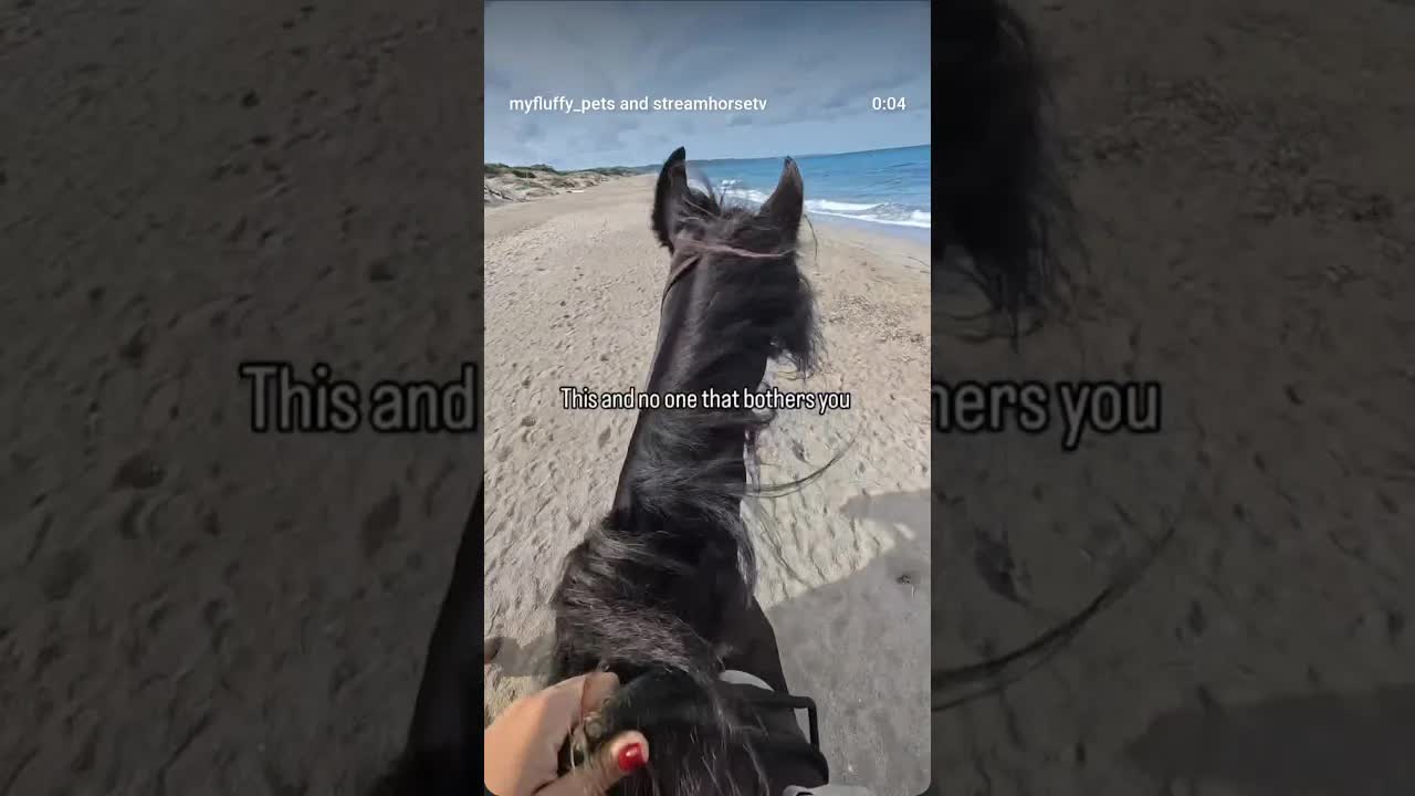 Nothing more to ask for 🐎🖤