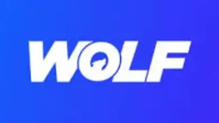 Market Insights with the Money Show & WOLF Financial
