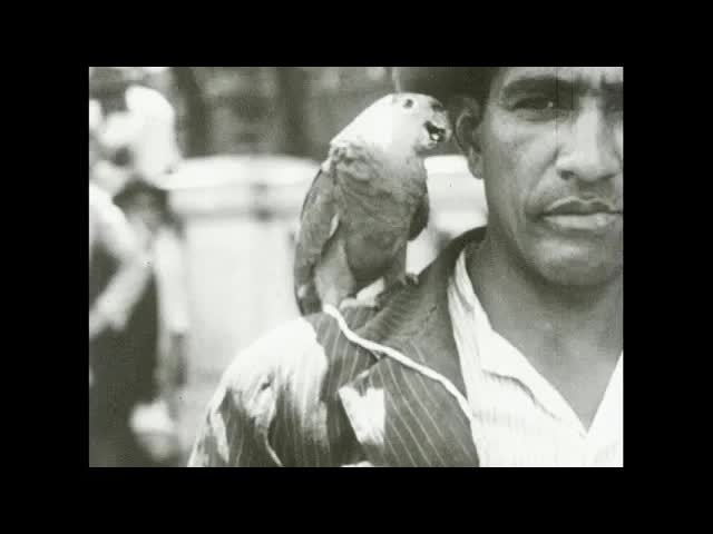 Southern American Vista (silent)