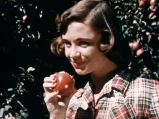 Gateway To Health (1953)