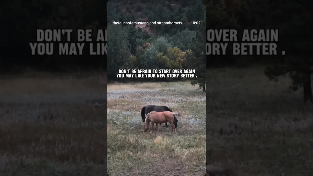 It is so hard to start over! But truly, what if it ends more amazing than you imagined?