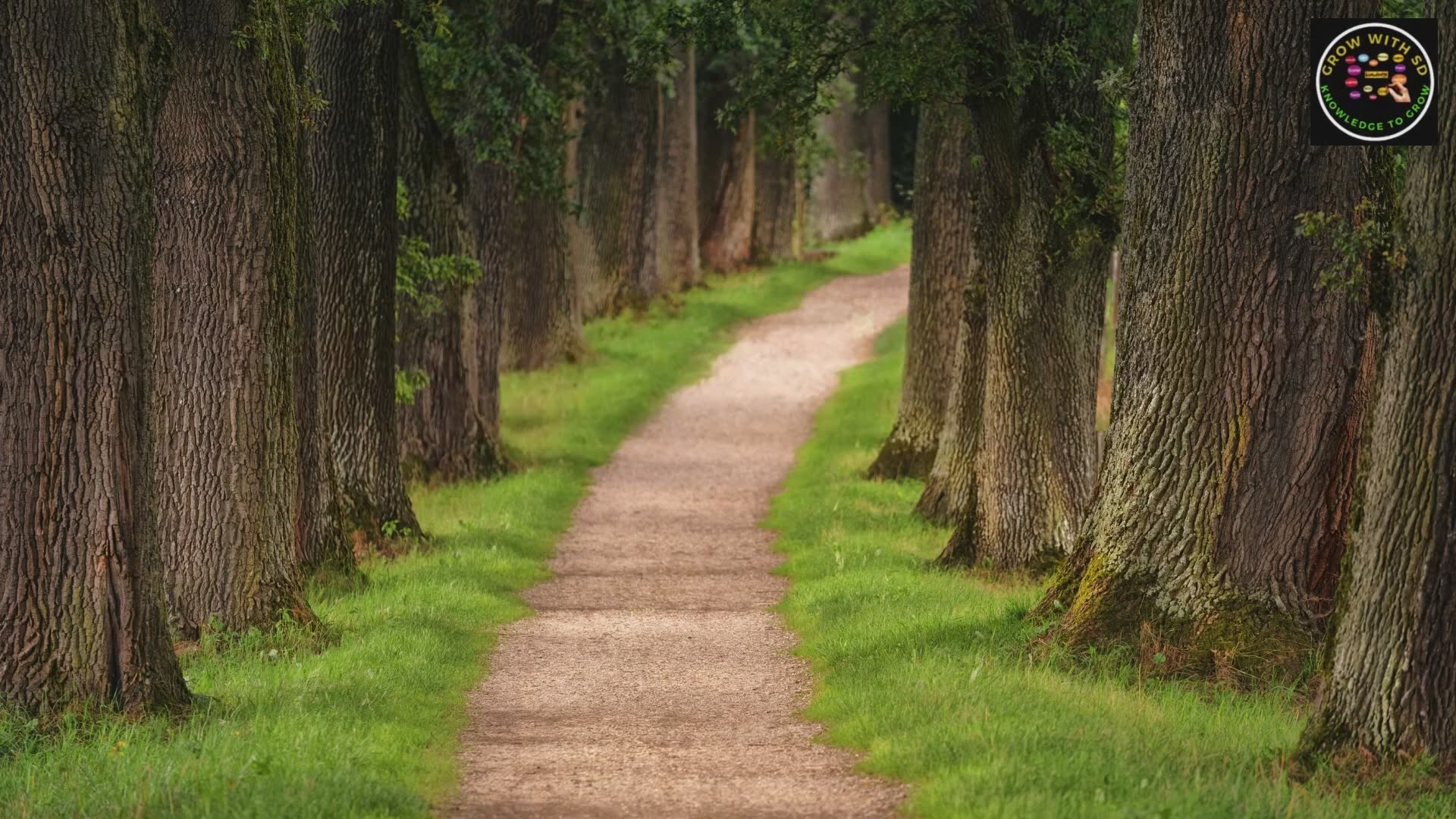 Practical techniques for maintaining emotional balance during challenging times