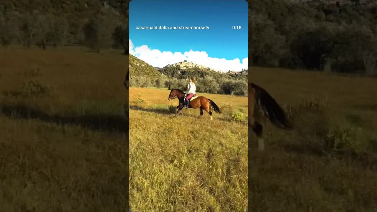 Keep close to Nature’s heart 💚