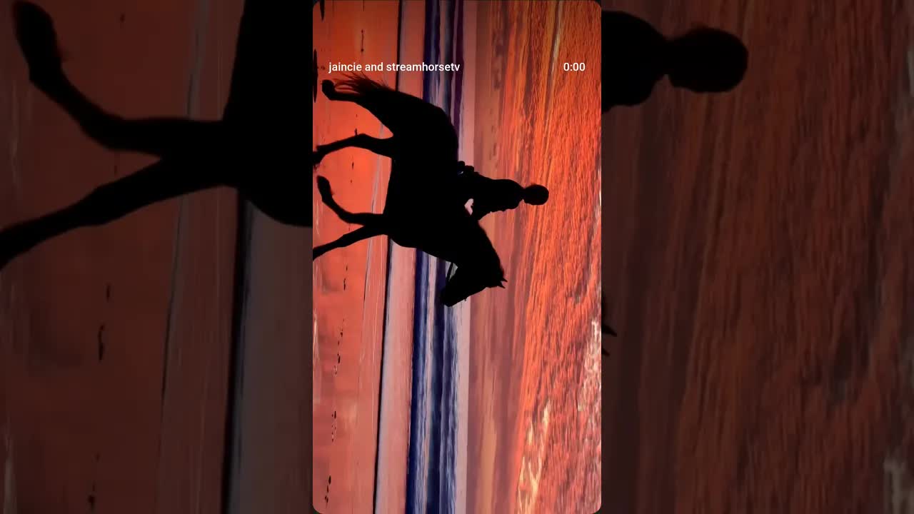 The first day with Diamant. The sky showed the most romantic colours. 🥰