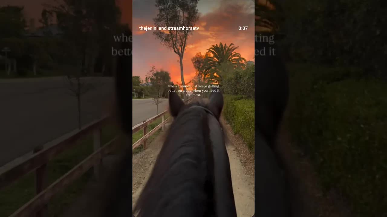 on days like these it’s hard to remember why I ever want to move out of California.