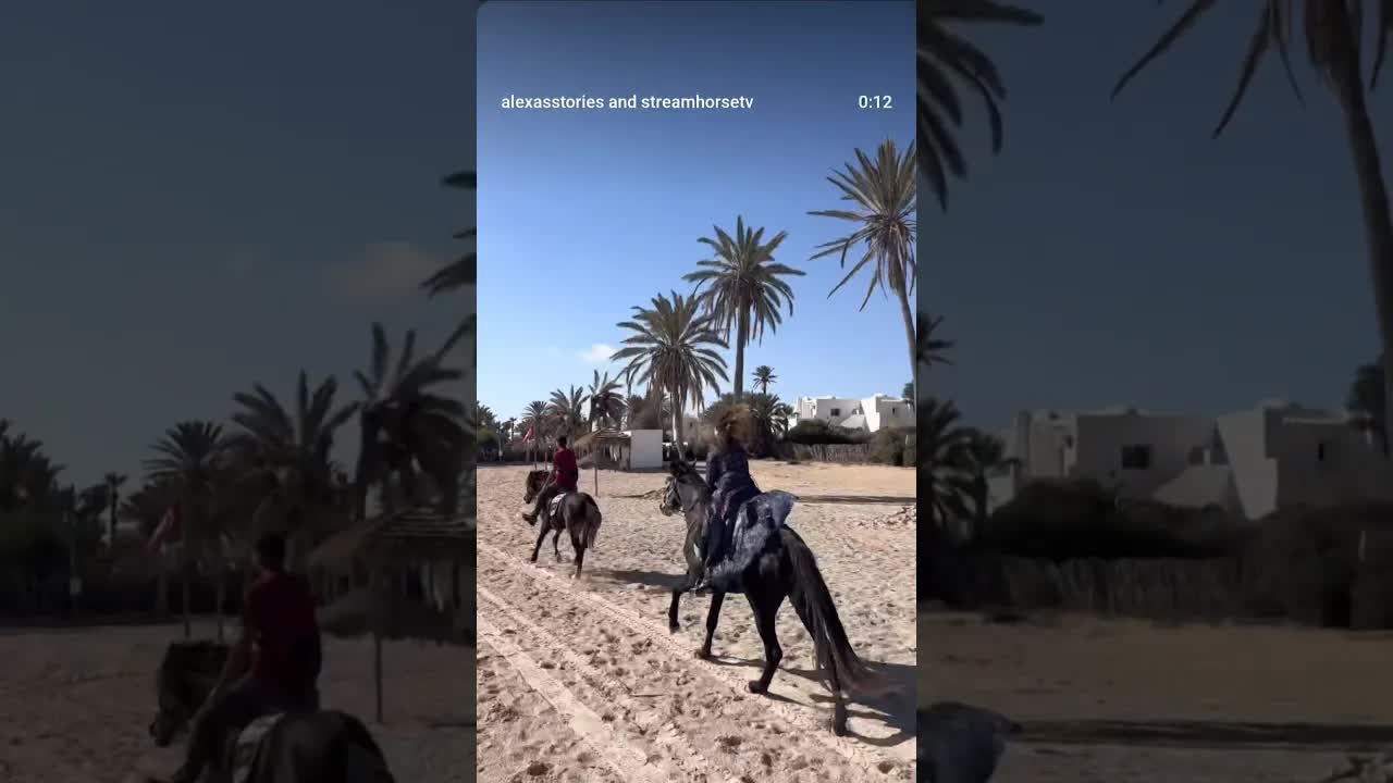 Djerba - an island of beautiful beaches, sun and cute horses 🥰🌞🐎👌🌊