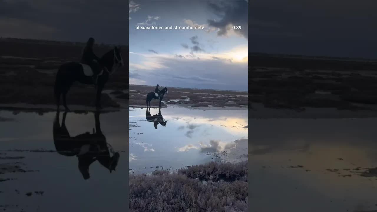 I am obsessed with the beauty of this magical sunset on the breathtaking Flamingo Island 🐎