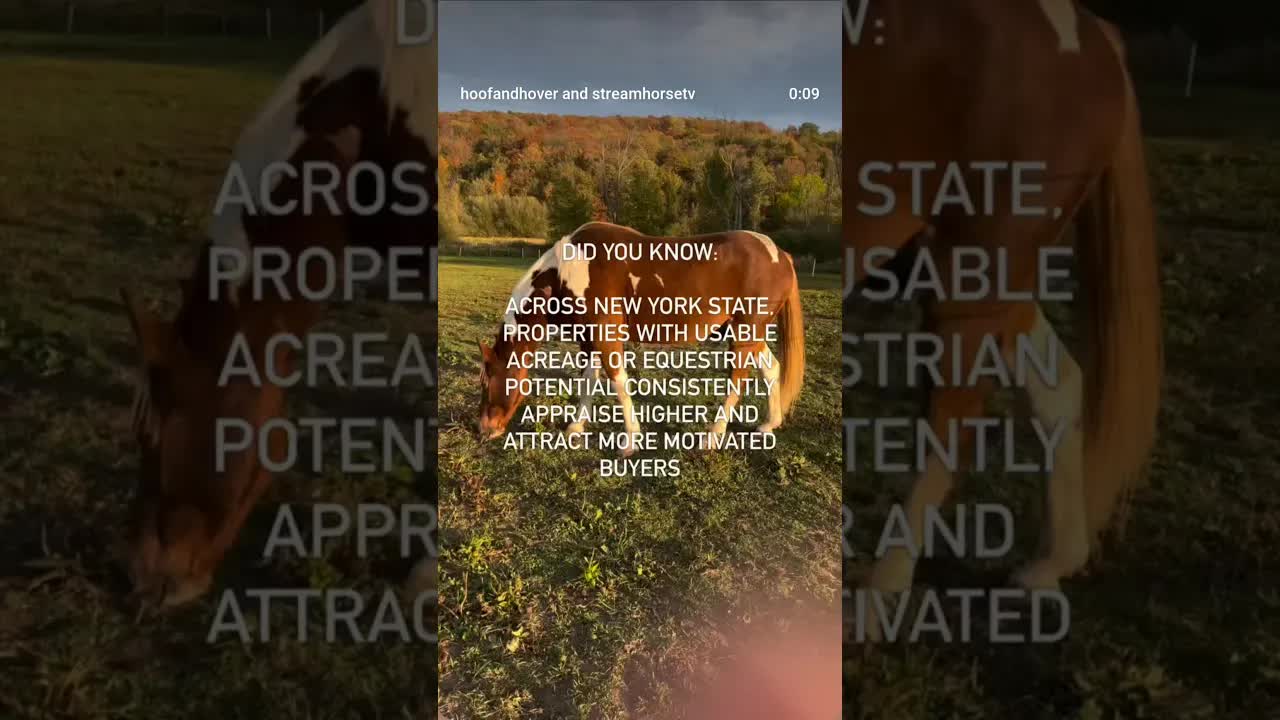 More land = more possibility: barns, trails, hobby farms, rental income, or long-term development.