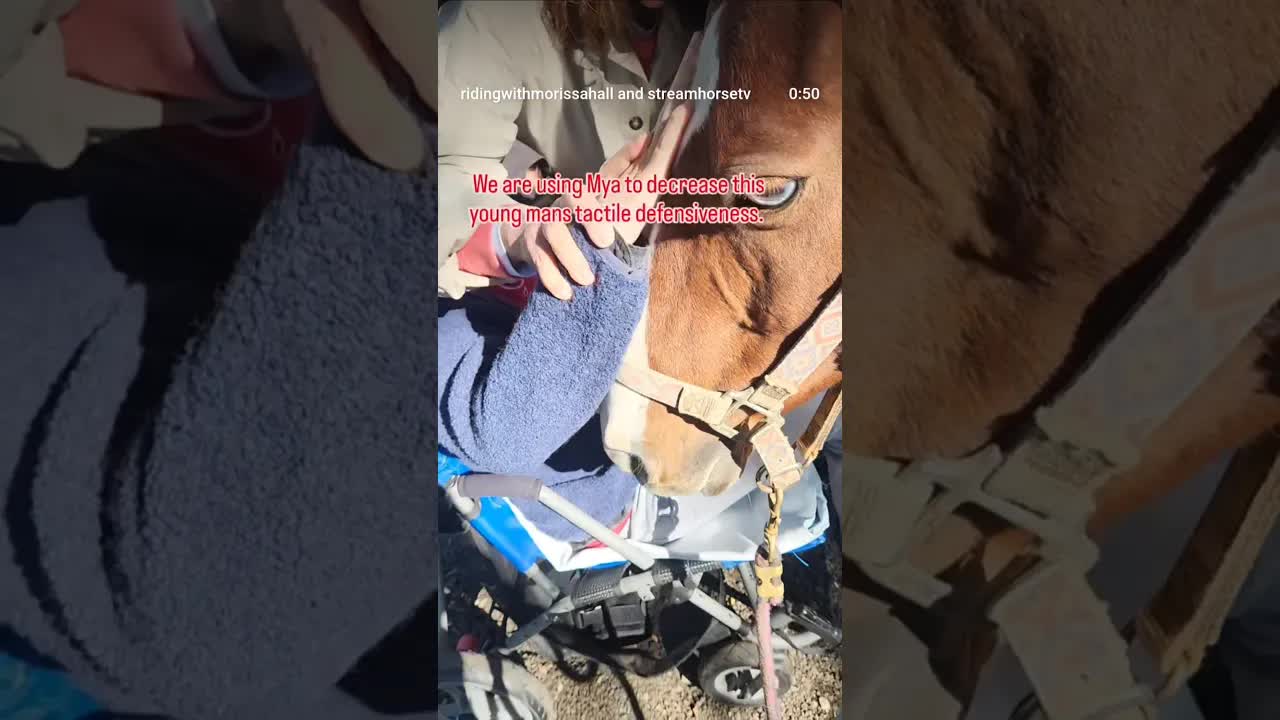 Meet Mya, the champion horse making a difference!