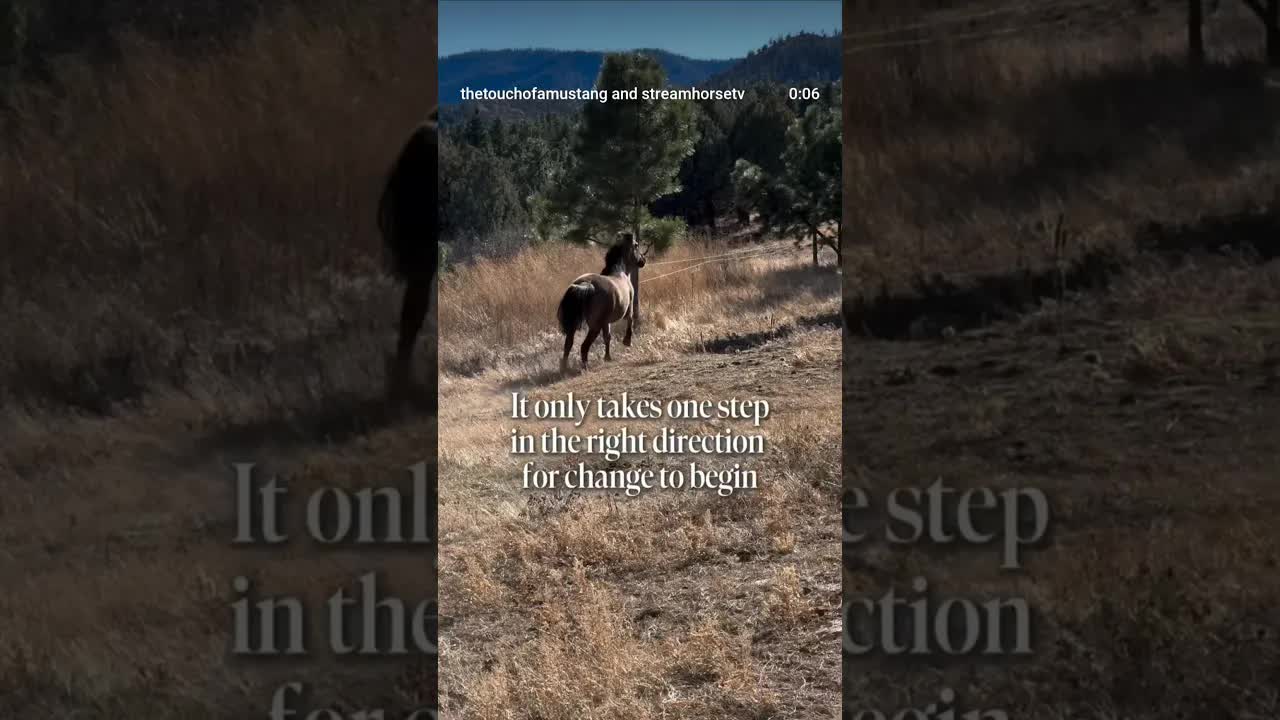 One small step at a time... over and over again leads to any destination you like.