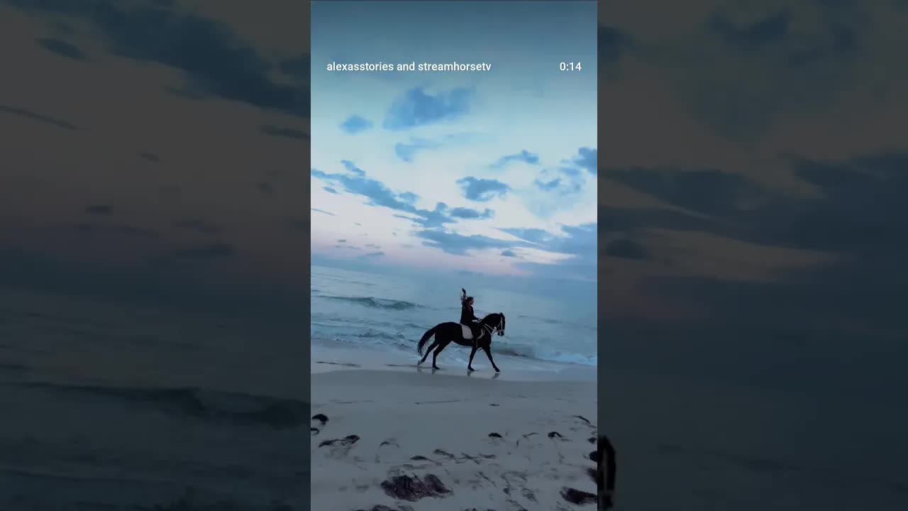 Saphir 🐎 left @khalidfiai and his horse in the dust 🤭🚀🚀🚀 whoopsies