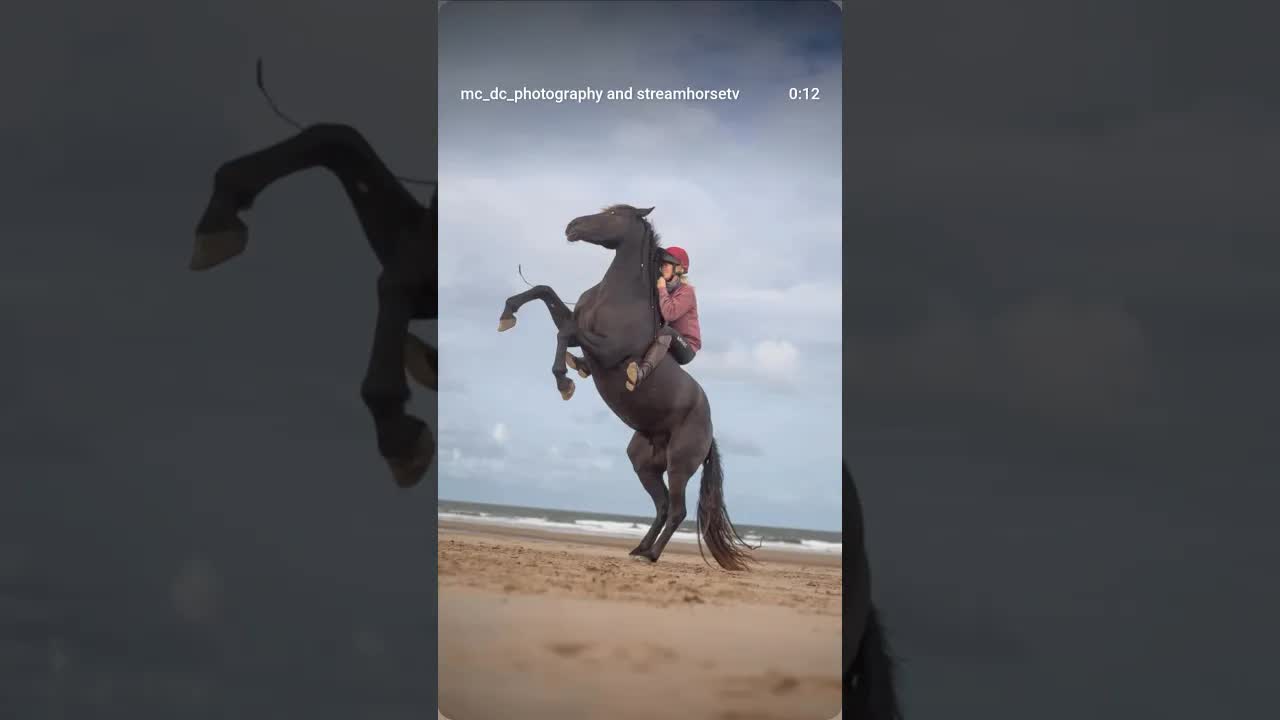 Liz’s birthday beach ride - two days on the beach with incredible weather and company!