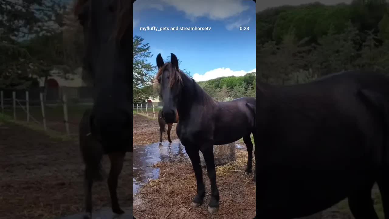 Il periodo dell'anno che odio 😩