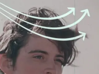 Regulating Body Temperature (1972)