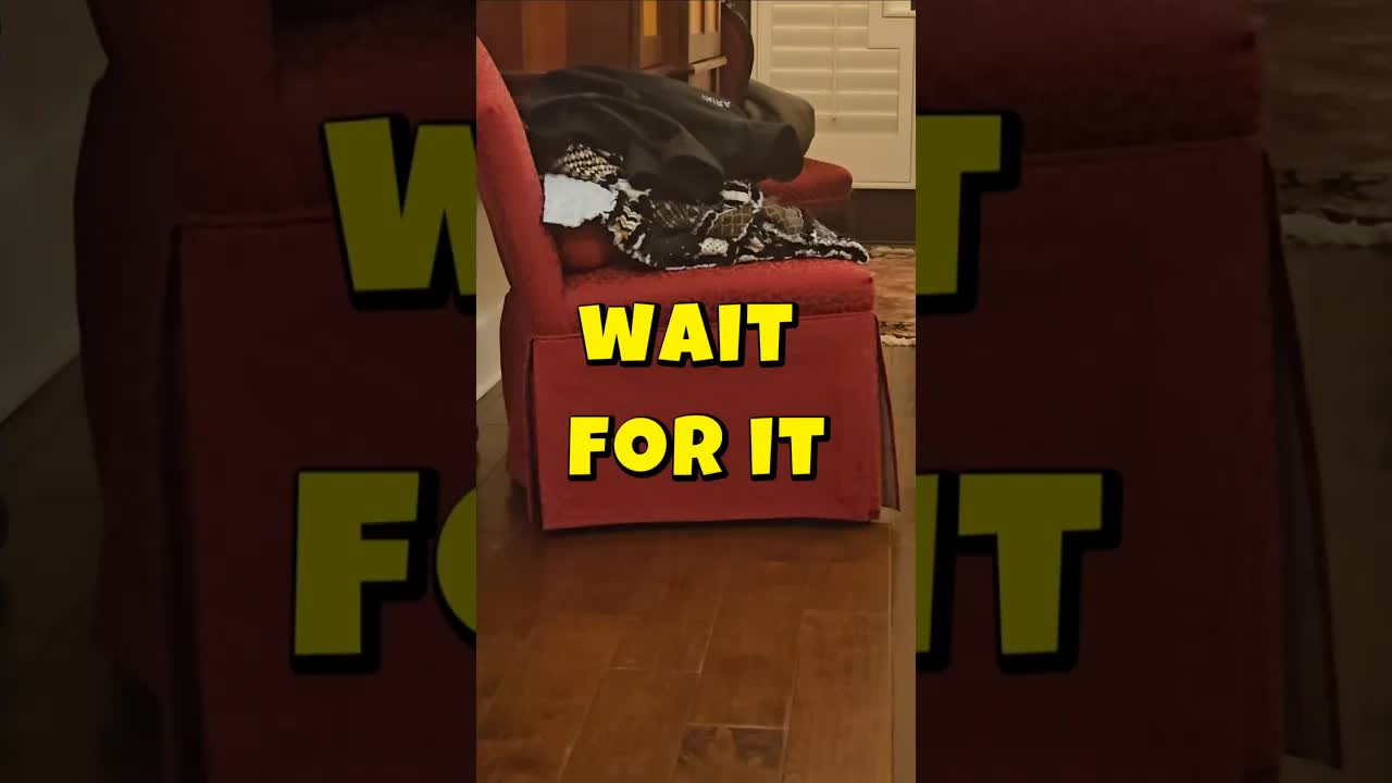 Ultimate game of hide and seek!