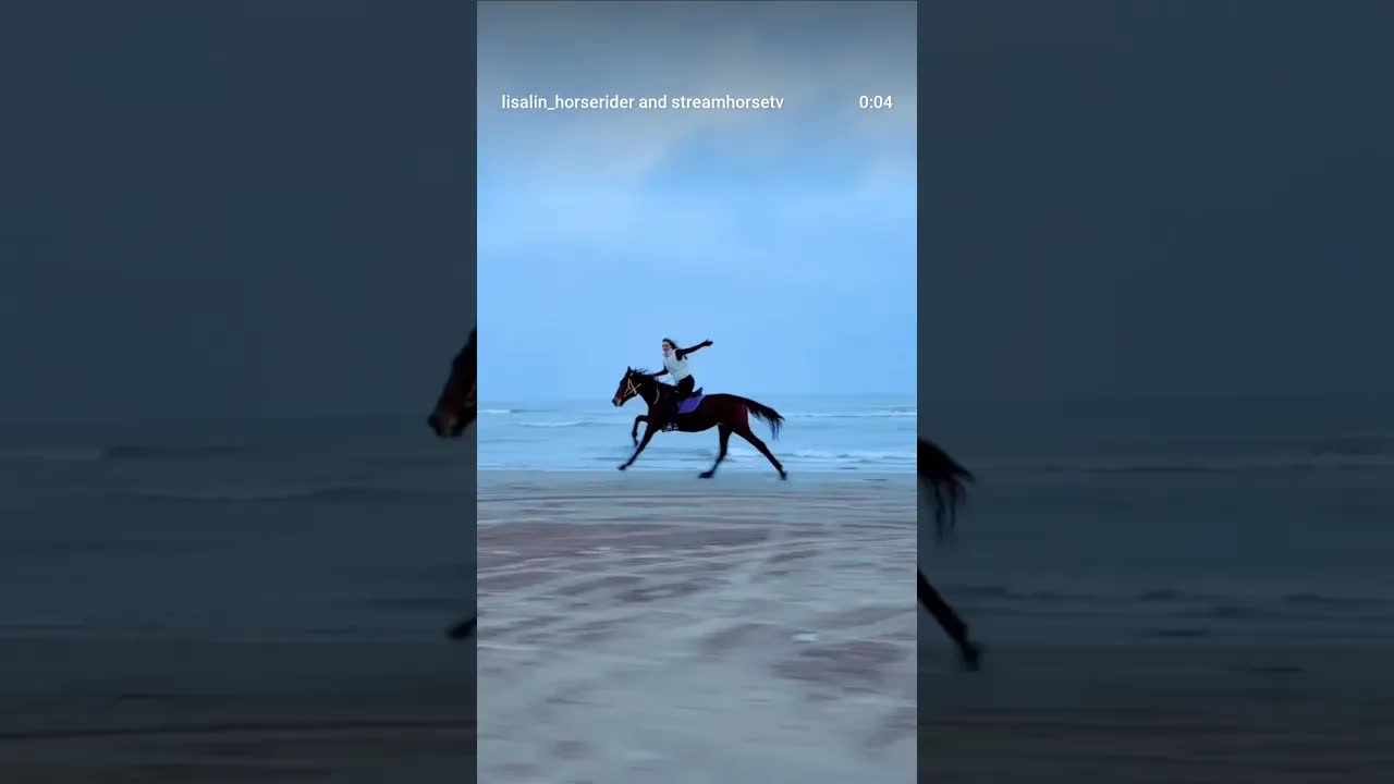 flying at the beach 🪽