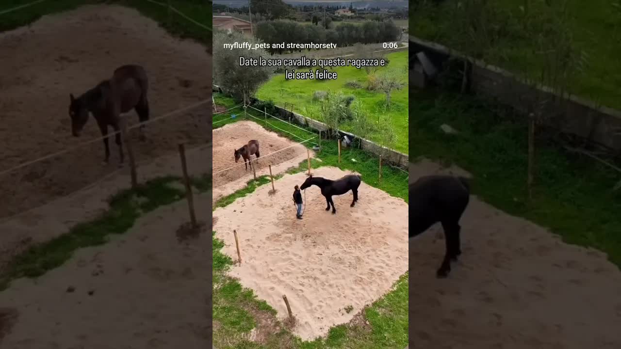 So solo che la vita, da quando siamo insieme è rifioritasi