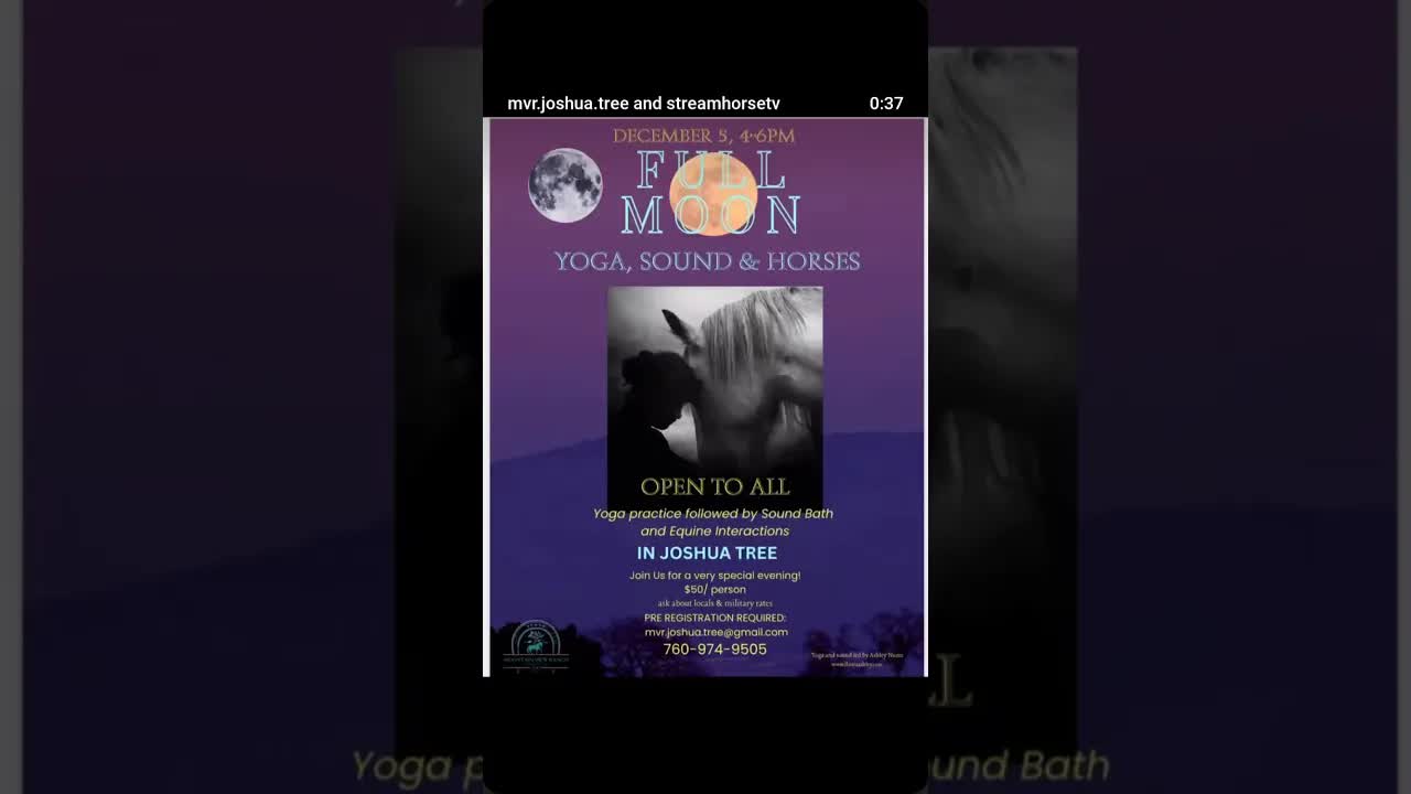 🌕 LAST FULL MOON OF 2025!!!! BOOK NOW TO SEE IT! 🌕🌕🌙🧘🏽‍♀️🦄