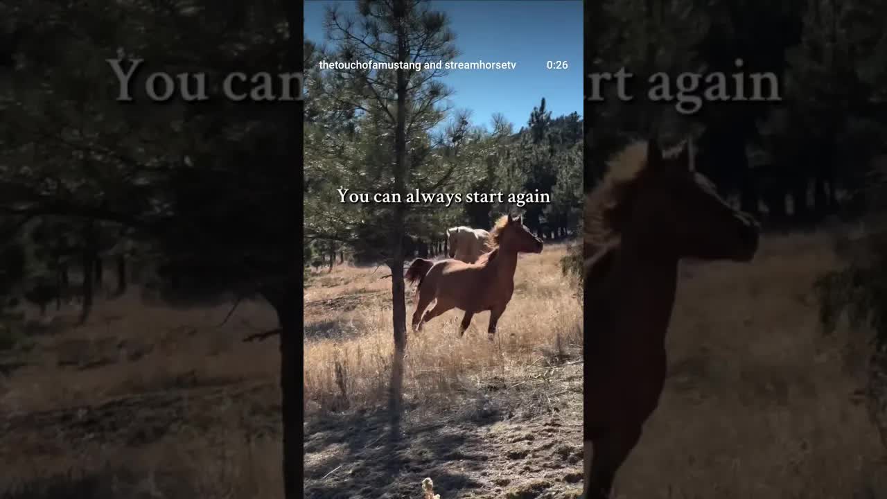 What's stopping you from enjoying your life?