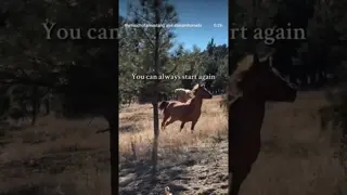 What's stopping you from enjoying your life?