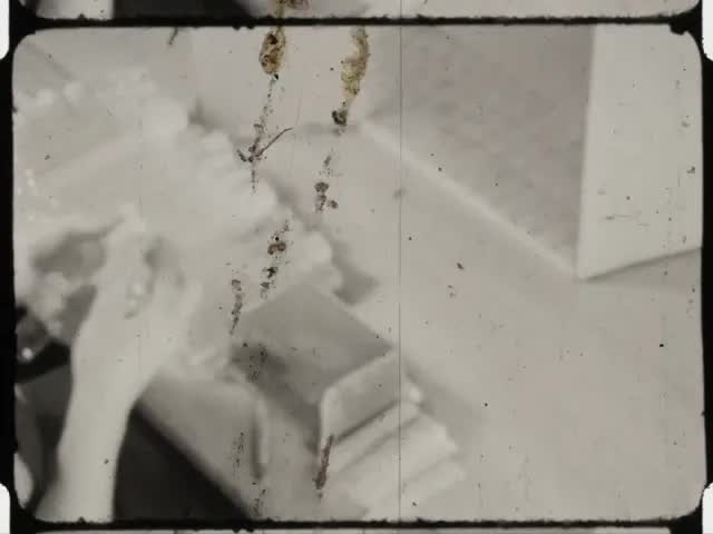 [Wrapping Toothbrushes, silent, 1939]